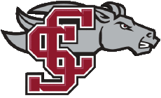 Sportivo N C A A - D1 (National Collegiate Athletic Association) S Santa Clara Broncos 