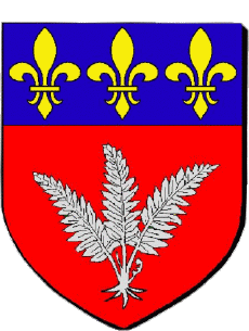 Blason-Drapeaux France Départements - Villes 82 MONTECH 