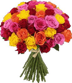 Messagi Tedesco Alles Gute zum Geburtstag Blumen 016 