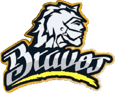 Sport Baseball Mexiko Bravos de Léon 