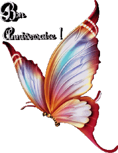 Mensajes Francés Bon Anniversaire Papillons 008 