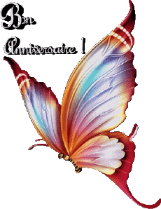 Nachrichten Französisch Bon Anniversaire Papillons Transparenter Hintergrund 008 