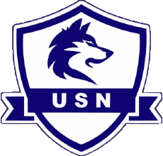 Deportes Fútbol Clubes Francia Hauts-de-France 02 - Aisne US Neuve-Maison 