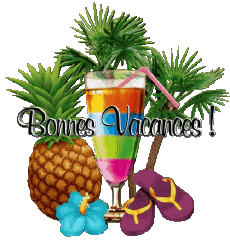 Mensajes Francés Bonnes Vacances Fondo transparente 16 