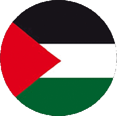 Banderas Asia Palestina Ronda 