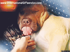 Humor - Fun Animales Perros 01 