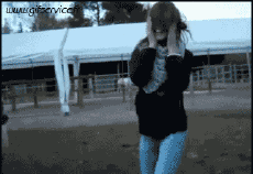 Humour - Fun Animaux Moutons 01 