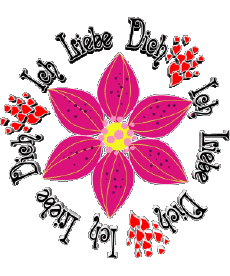 Messages Allemand Ich Liebe Dich 01 