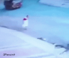 Humor - Fun Animales Monos 01 