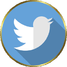 Multi Média Informatique - Internet Twitter 