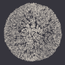 Humor -  Fun GIF Artists Erik Soderberg 