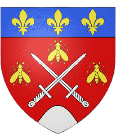 Bandiere Francia Dipartimenti - Città 75 Paris Quartiere 7 