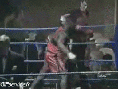 Humor -  Fun Sports Boxe Gamelle Fail 