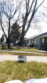 Humour - Fun PERSONNAGES Bucheron - Timber ! Fail 