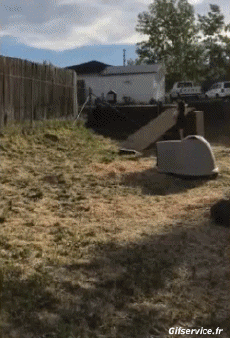 Humor - Fun Animales Cabras - Perilla Serie 02 