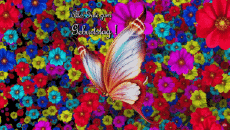 Messages German Alles Gute zum Geburtstag Schmetterlinge Animated Background 002 