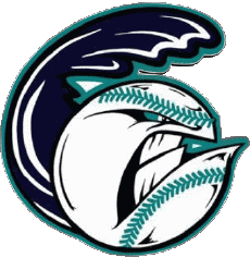 Deportes Béisbol U.S.A - FCBL (Futures Collegiate Baseball League) Old Orchard Beach Raging Tide 