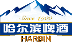 Drinks Beers China Harbin 