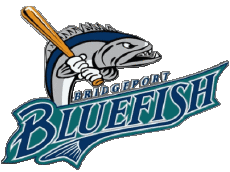 Deportes Béisbol U.S.A - ALPB - Atlantic League Bridgeport Bluefish 