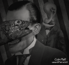 Humor -  Fun GIF Künstler Colin Raff 