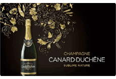 Bebidas Champagne Canard Duchêne 