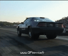 Humor -  Fun Transport Autos Wheeling Car 