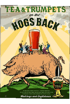 Boissons Bières Royaume Uni Hogs Back 