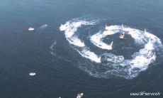 Humour - Fun Transports Jet Ski Fly-boarding Fun - Win 