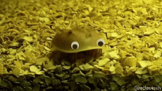 Humor -  Fun GIF Künstler @Eclectech 