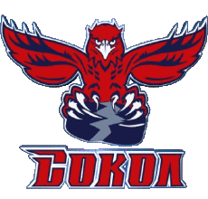 Sport Eishockey Russland Sokol Krasnoïarsk 