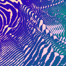 Humor -  Fun GIF Artists Bill Tavis 