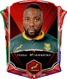 Sport Rugby - Spieler Südafrika Tendai Mtawarira 