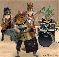 Umorismo -  Fun Animali Scoiattoli 01 