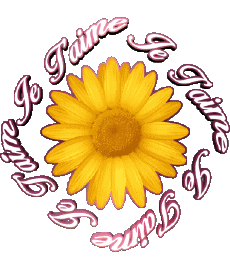 Messages Français Je T'aime 03 