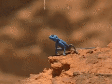 Multi Média Chaines -  TV France Voyage Jingle Pub 