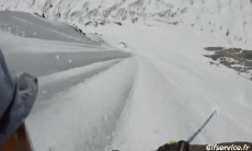 Humor -  Fun Sport Ski Free Ride Fun Win 