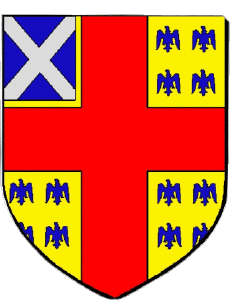 Bandiere Francia Dipartimenti - Città 95 TAVERNY 