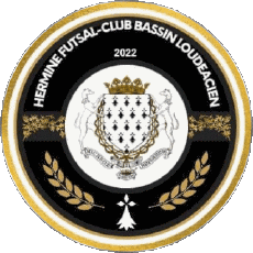 Sports Soccer Club France Bretagne 22 - Côtes-d'Armor Hermine Futsal-Club Loudéacien 