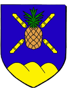 Bandiere Francia Dipartimenti - Città 972 LE GROS MORNE 