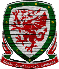 Sports FootBall Equipes Nationales - Ligues - Fédération Europe Pays de Galles 