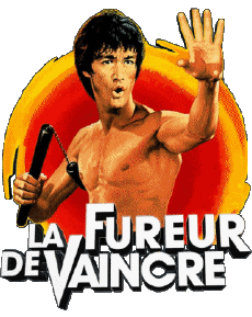 Multimedia V International Bruce Lee La Fureur de Vaincre 