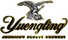 Bebidas Cervezas USA Yuengling 