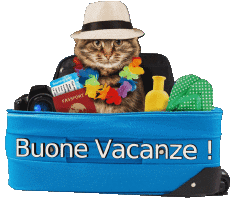 Nachrichten Italienisch Buone Vacanze Transparenter Hintergrund 12 