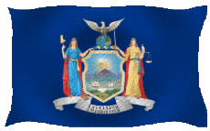 Bandiere America U.S.A - Stati New York Sventola 