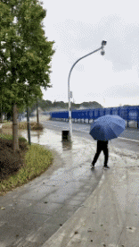 Humor -  Fun Orte Von Seaside 