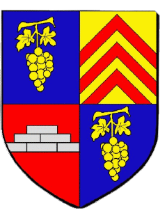 Flags France Departments - Cities 92 BAGNEUX 