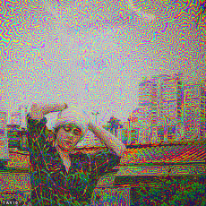 Humor -  Fun GIF Artists Bill Tavis 