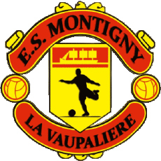 Sportivo Calcio  Club Francia Normandie 76 - Seine-Maritime E.S. Montigny La Vaupaliere 