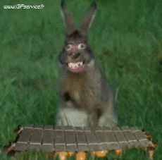 Humour - Fun Animaux Lapins Serie 01 