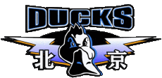 Sport Basketball China Beijing Ducks 